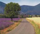 9 of 10-daagse rondreis Provence